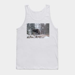 Moose in a snow storm Tank Top